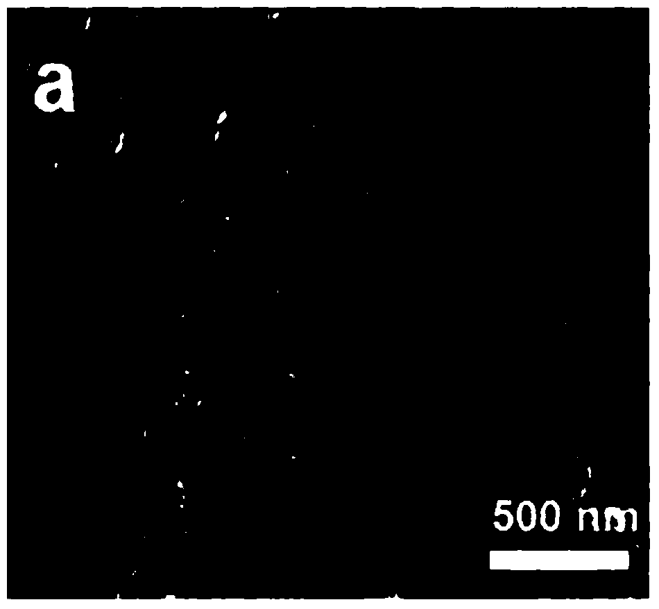 Graphene quantum dot-graphene composite material as well as preparation method and application thereof