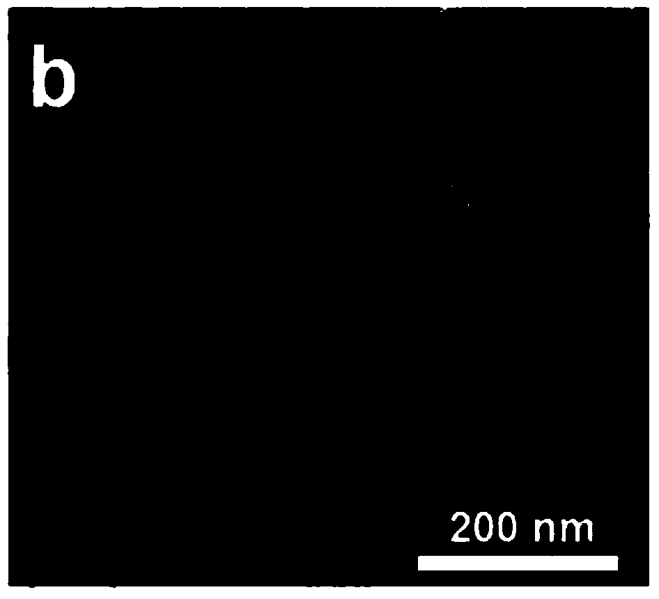 Graphene quantum dot-graphene composite material as well as preparation method and application thereof