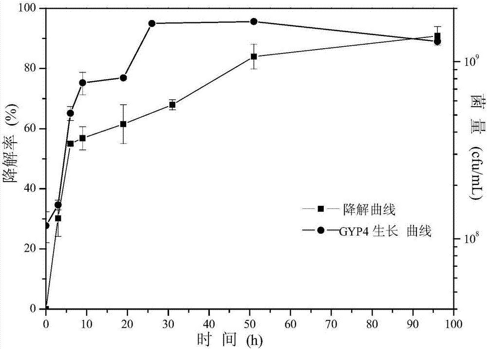 Achromobacter xylosoxidans GYP4, and application of same to degradation of brominated fire retardants