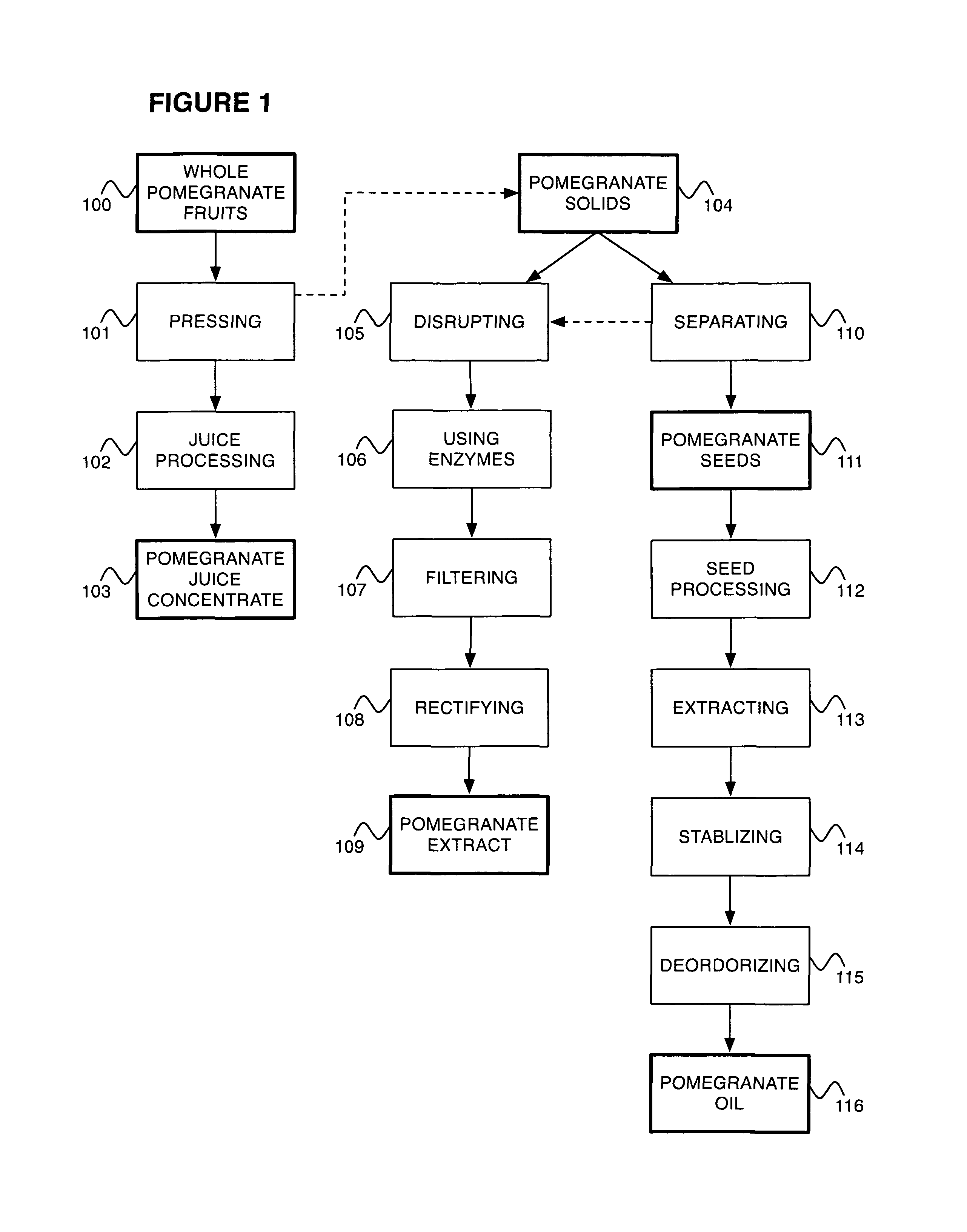 Pomegranate based skin protectant and topical application