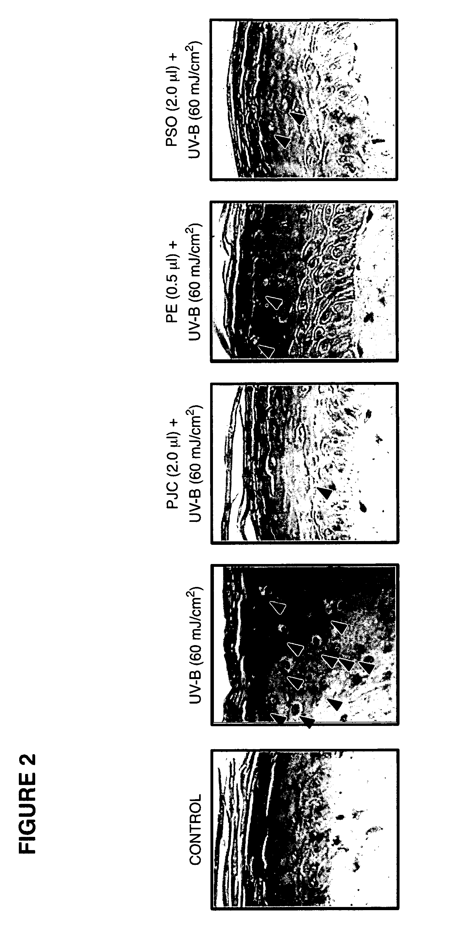 Pomegranate based skin protectant and topical application