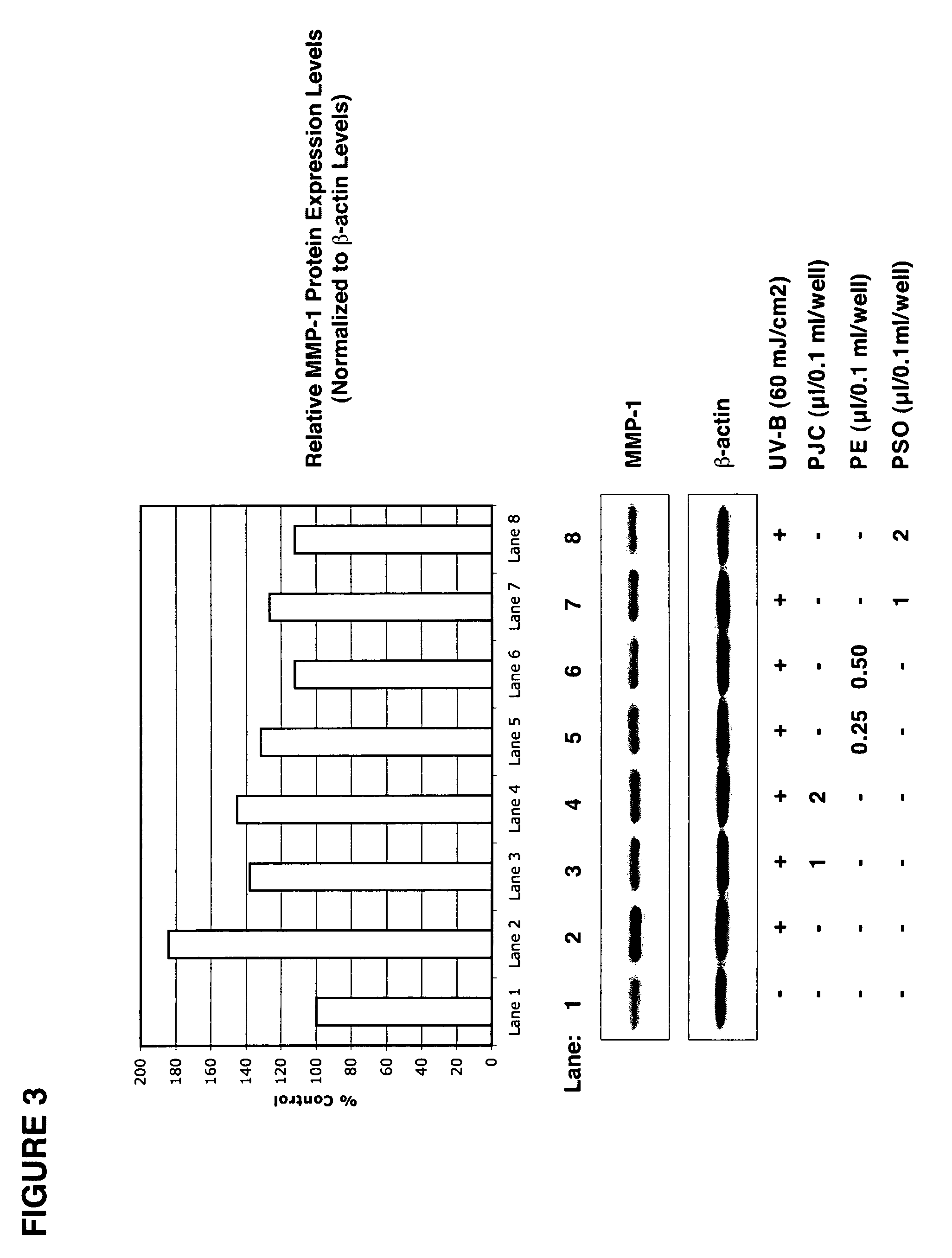 Pomegranate based skin protectant and topical application