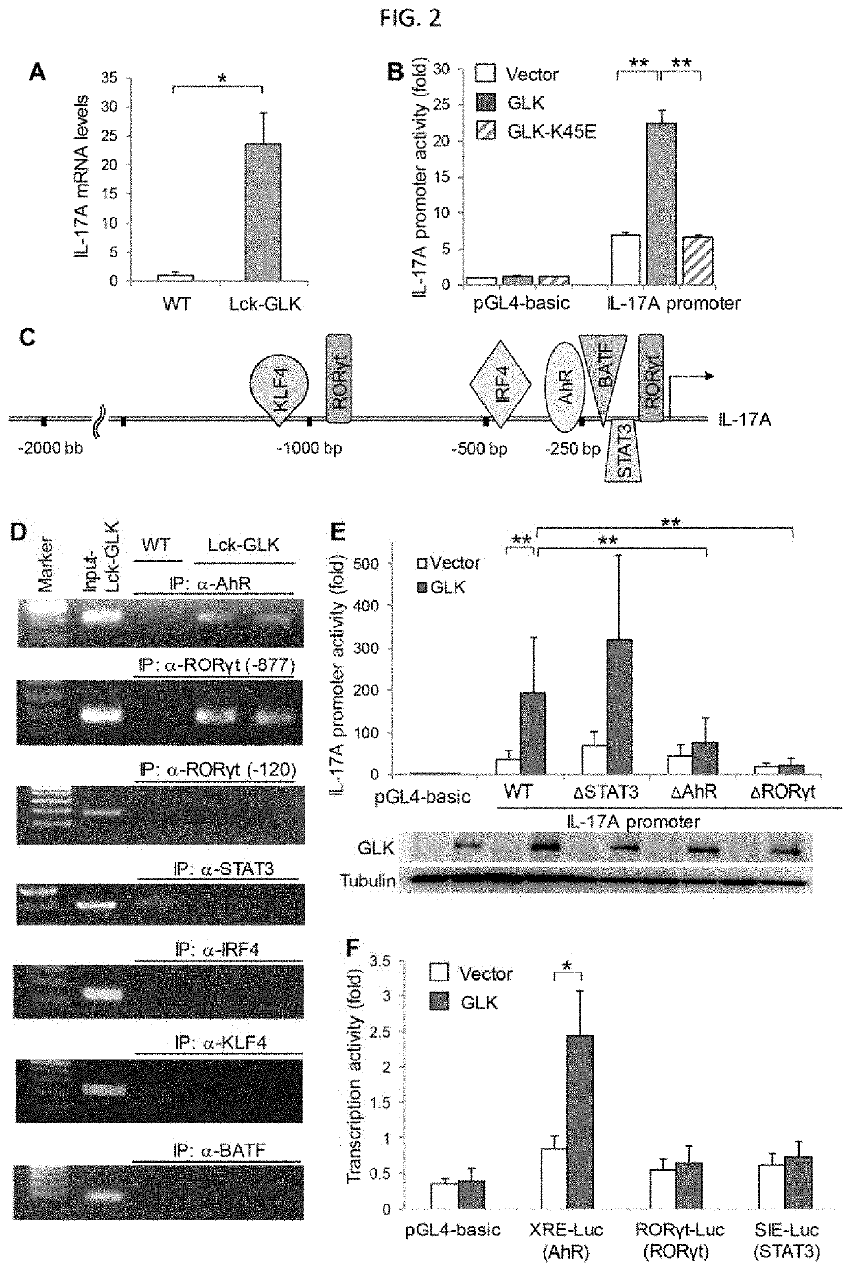 AhR-ROR-γt complex as a biomarker and therapeutic target for autoimmune disease and IL-17A-associated disease