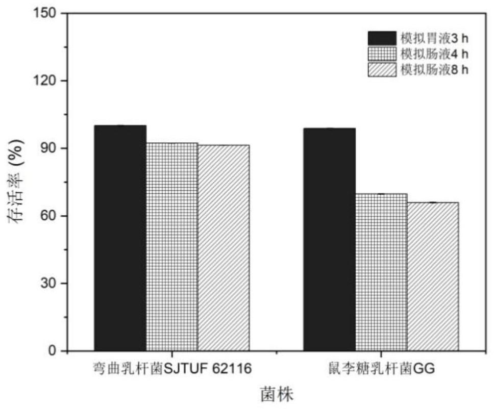 Antibacterial lactobacillus curvatus capable of producing exopolysaccharides and application thereof