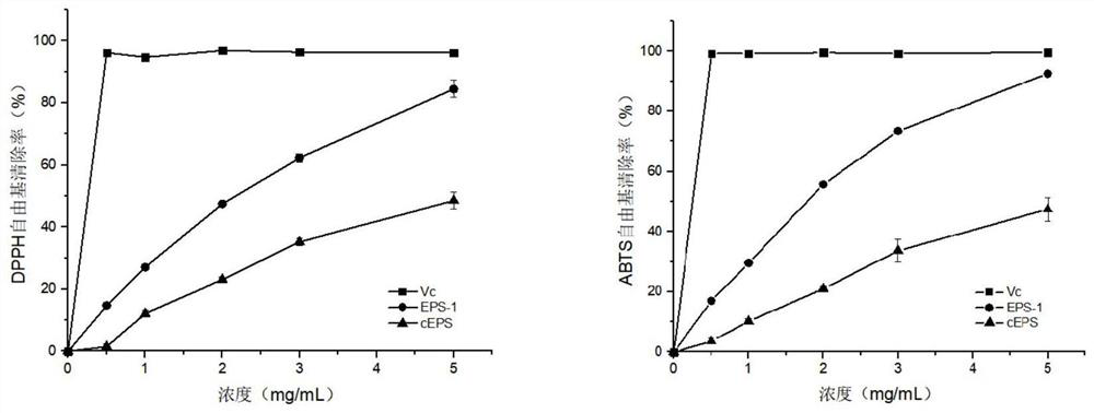 Antibacterial lactobacillus curvatus capable of producing exopolysaccharides and application thereof