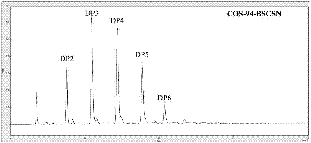 Bacillus subtilis chitosanase as well as preparation method and application thereof