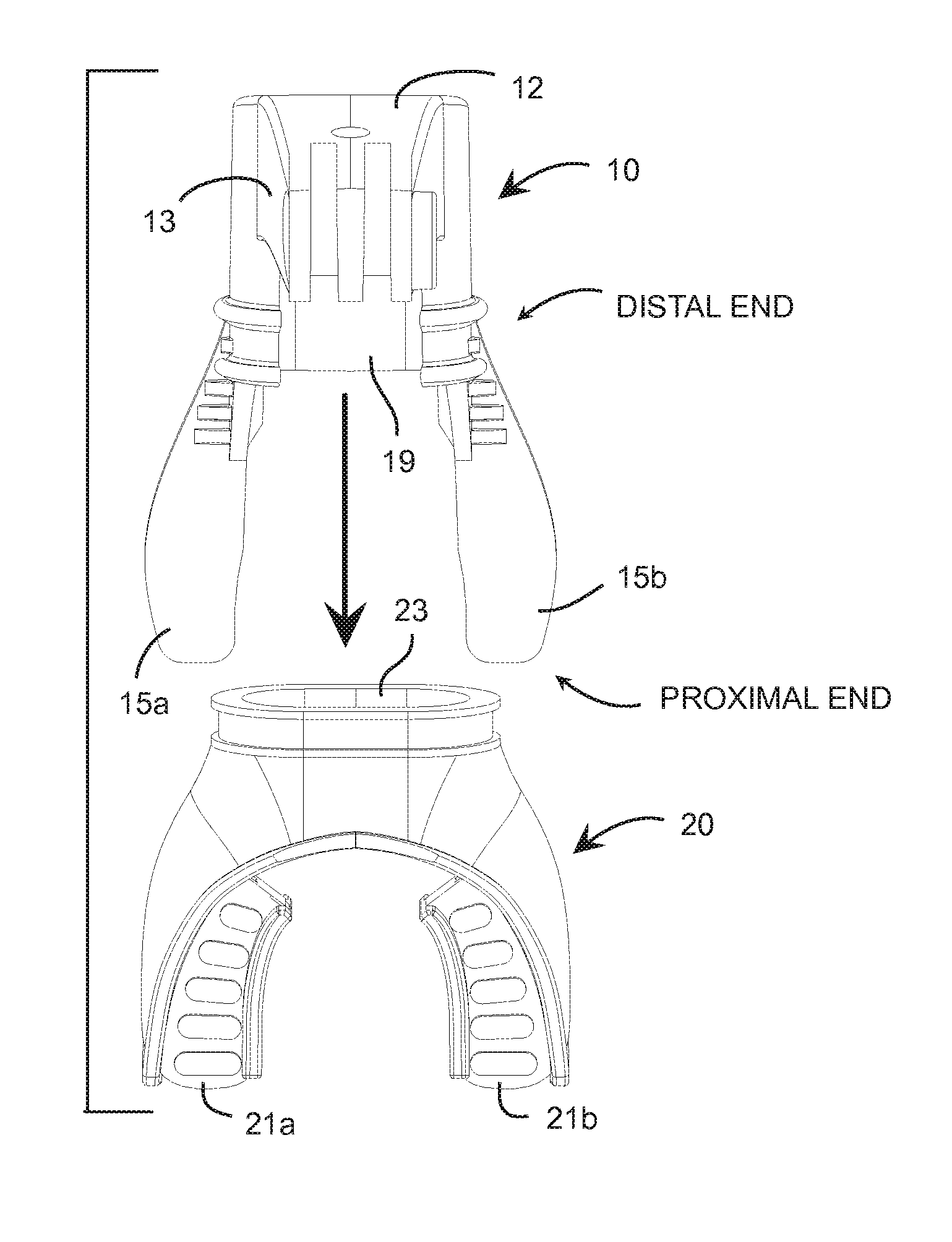 Camera mouth mount