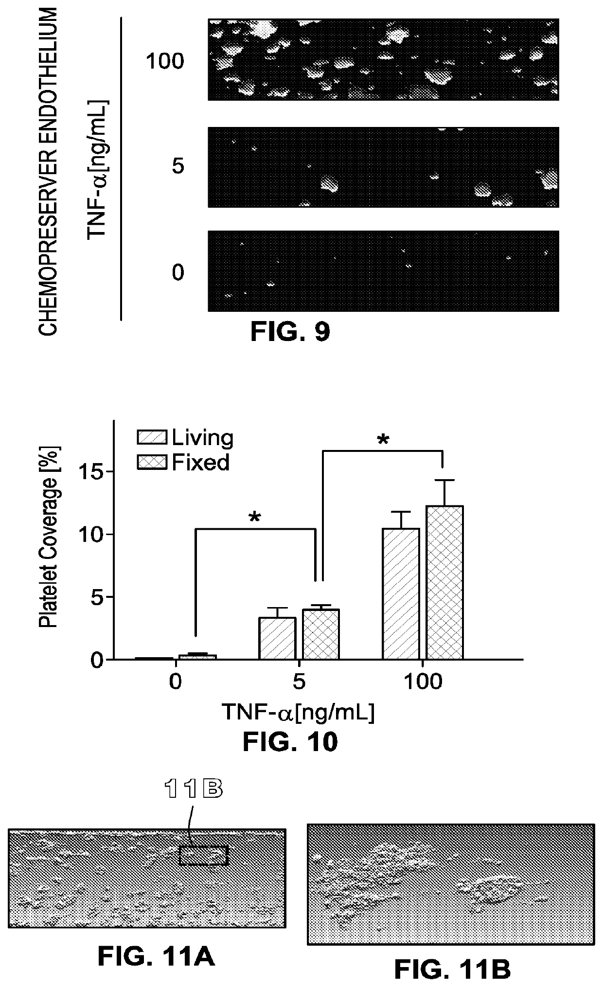 Methods, Systems, And Compositions For Determining Blood Clot Formation, And Uses Thereof