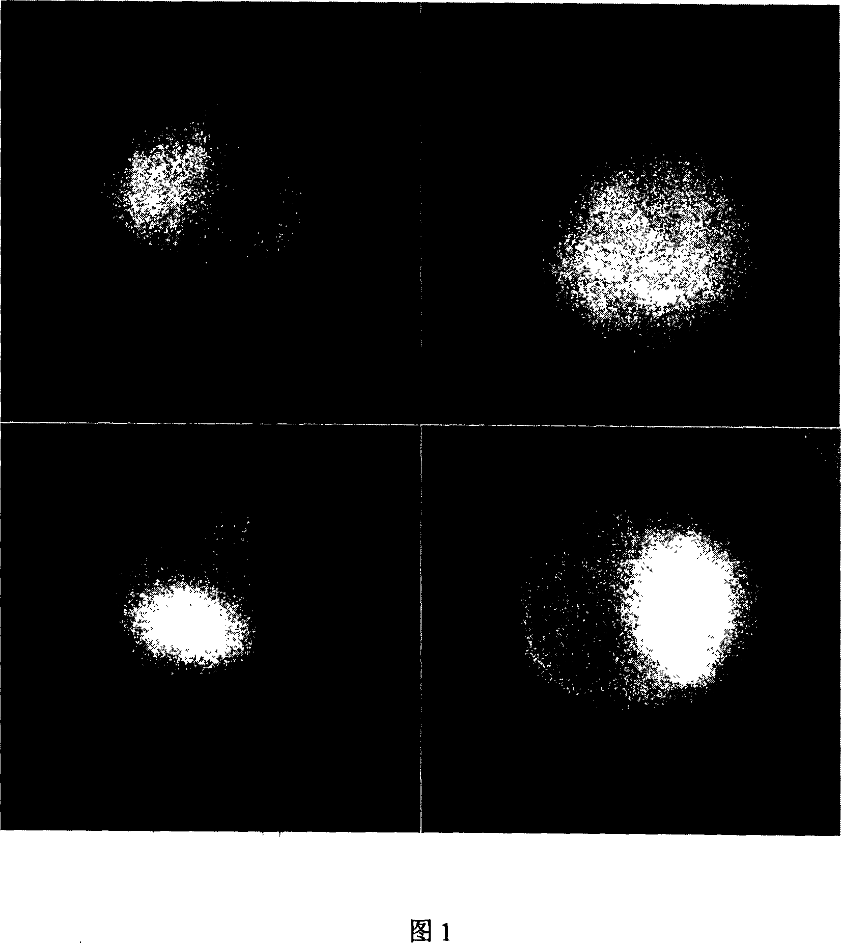 Organic metal carborane target formulation and its preparation method