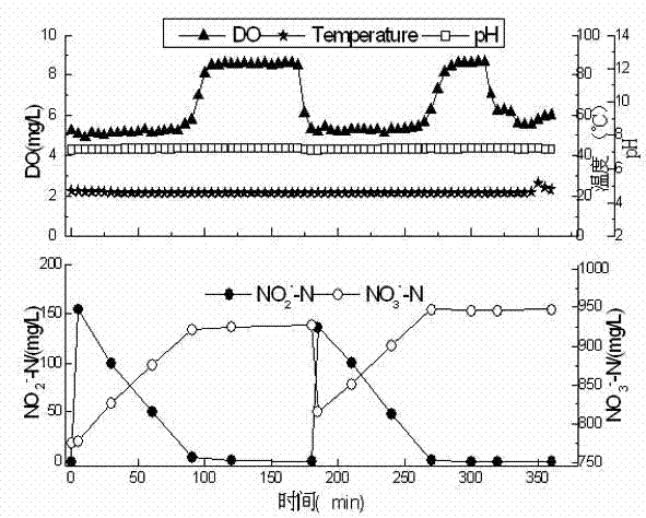 Method and device for culturing oxidizing bacteria capable of quickly enriching nitrite