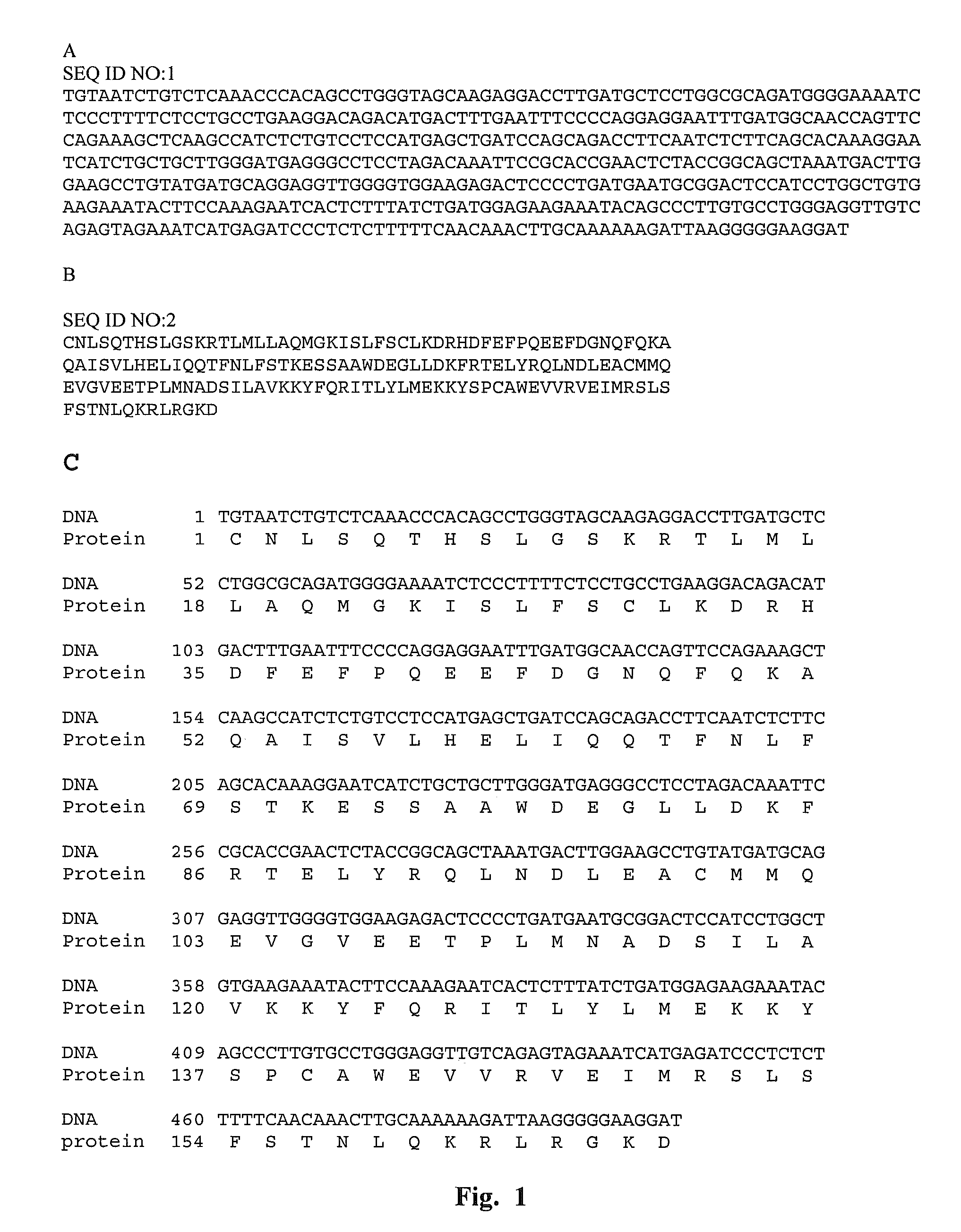 Recombinant human interferon-like proteins