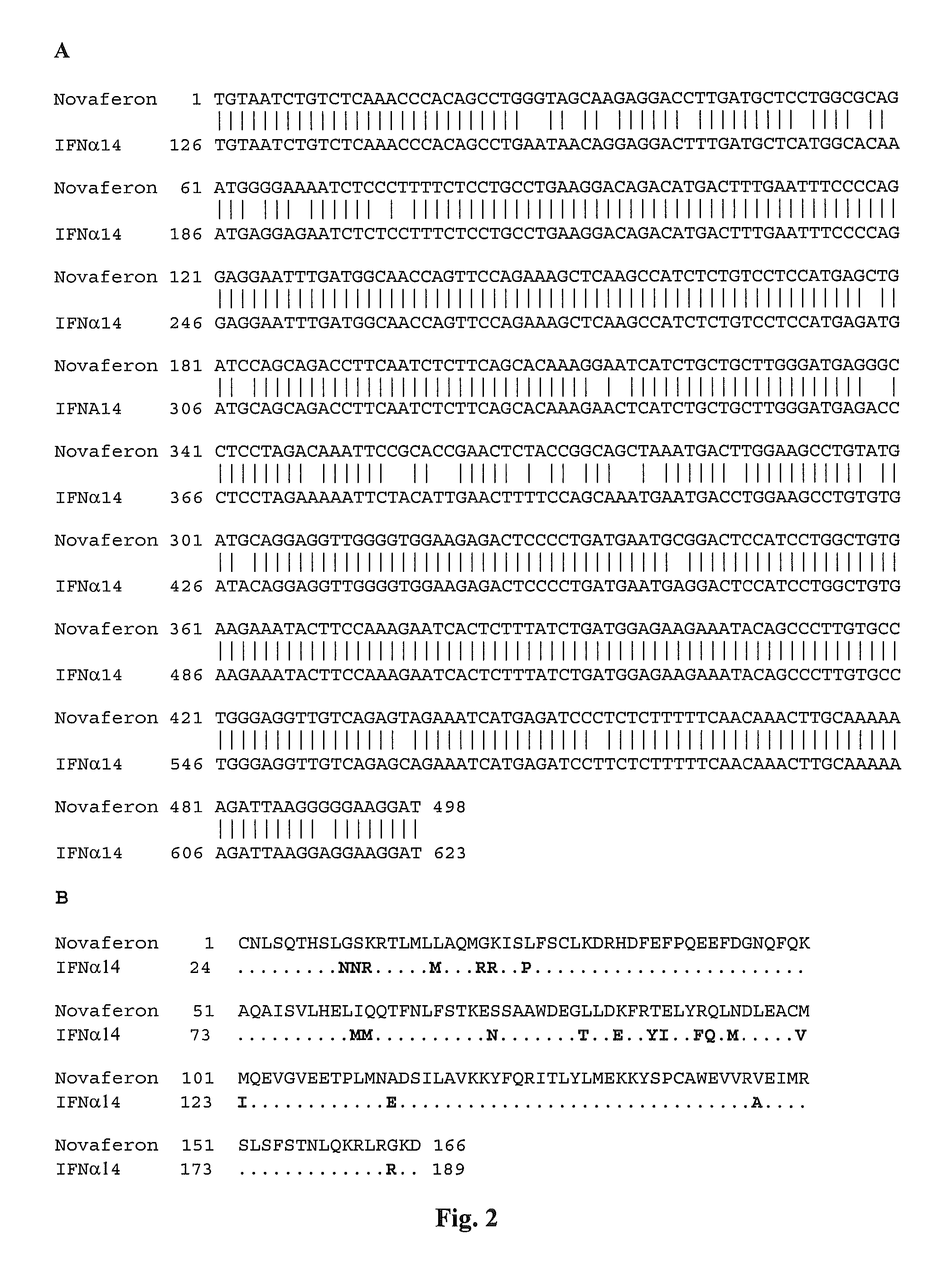 Recombinant human interferon-like proteins