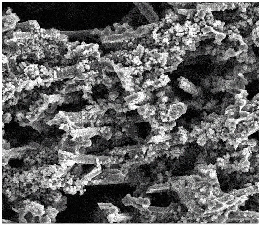 A kind of layered distribution short fiber reinforced porous phenolic composite material and preparation method thereof