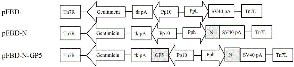 A kind of prrsv virus-like particle with immunogenicity and its preparation and application