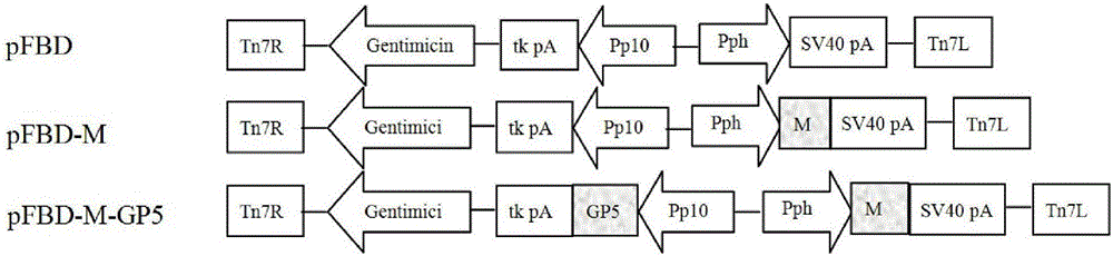 A kind of prrsv virus-like particle with immunogenicity and its preparation and application