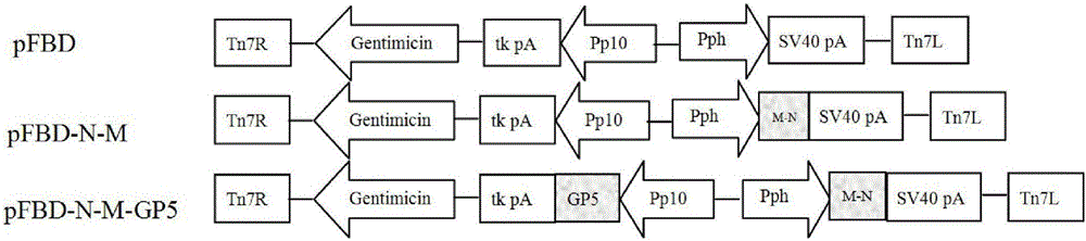 A kind of prrsv virus-like particle with immunogenicity and its preparation and application