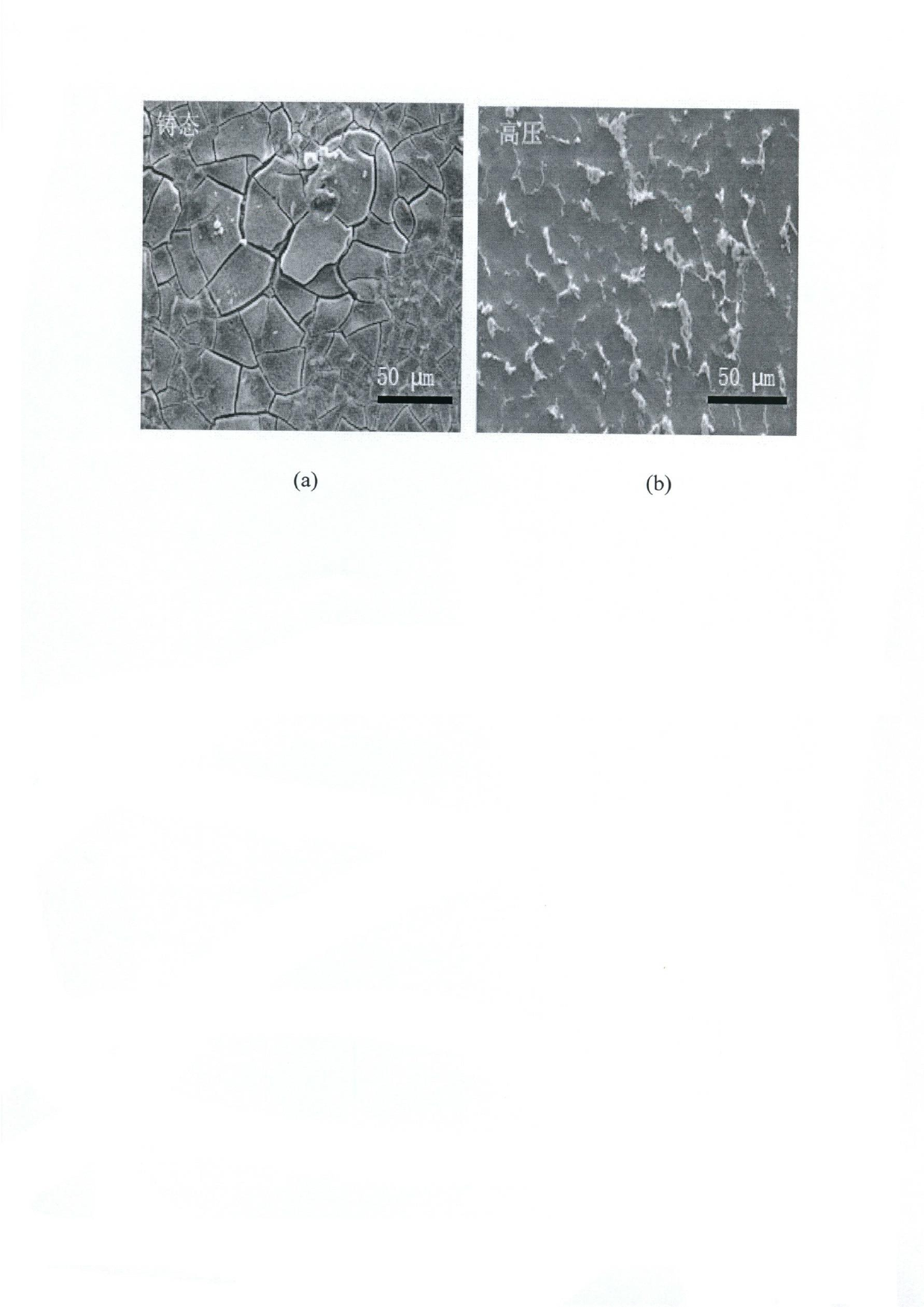 Anti-corrosion magnalium base alloy and preparation method thereof