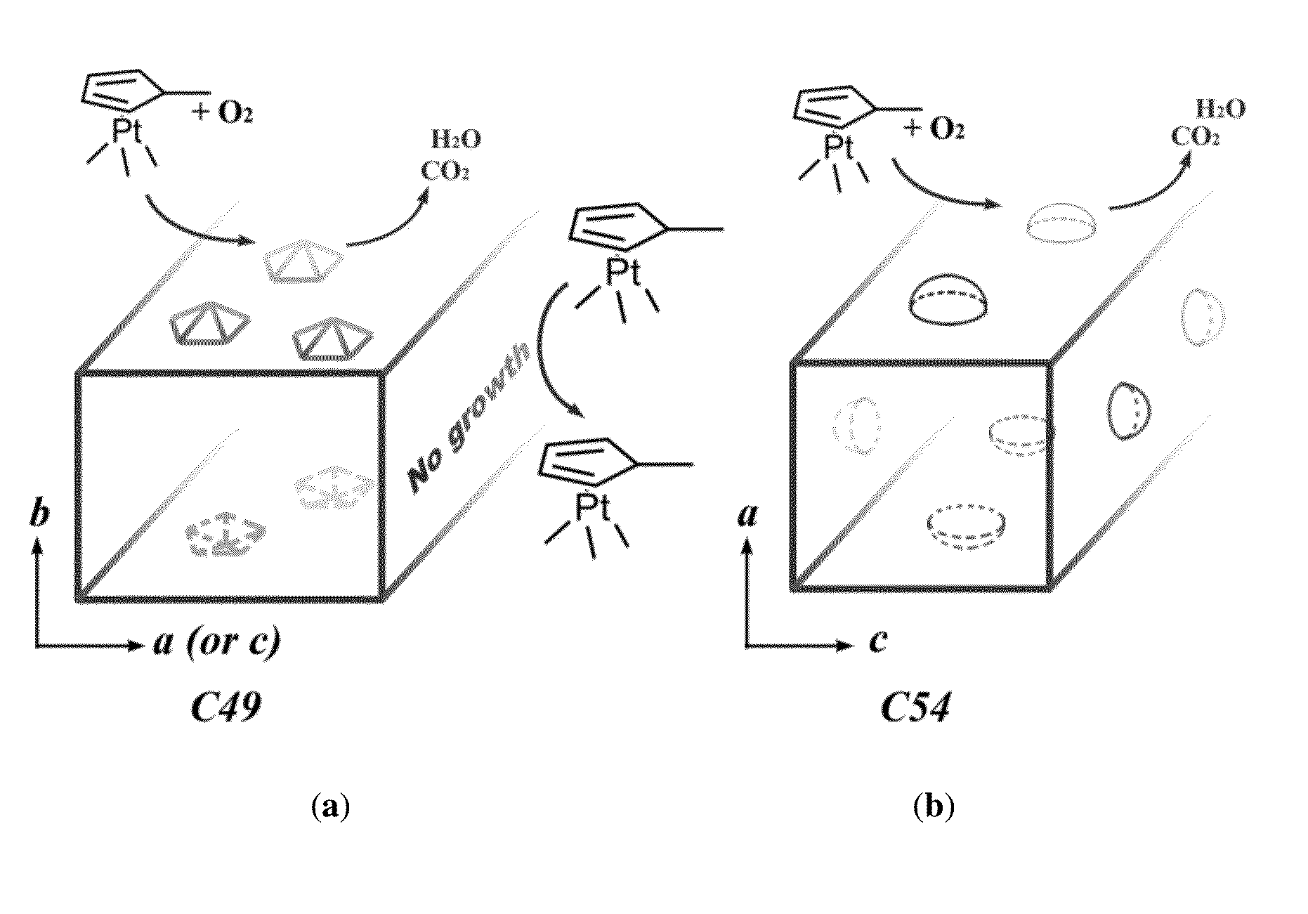 HIERARCHICAL METAL/TiSi2 NANOSTRUCTURE MATERIALS AND METHOD OF PREPARATION THEREOF