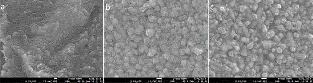 High catalytic activity sulfide hybridization counter electrode for flexible dye-sensitized solar cell and preparation method thereof