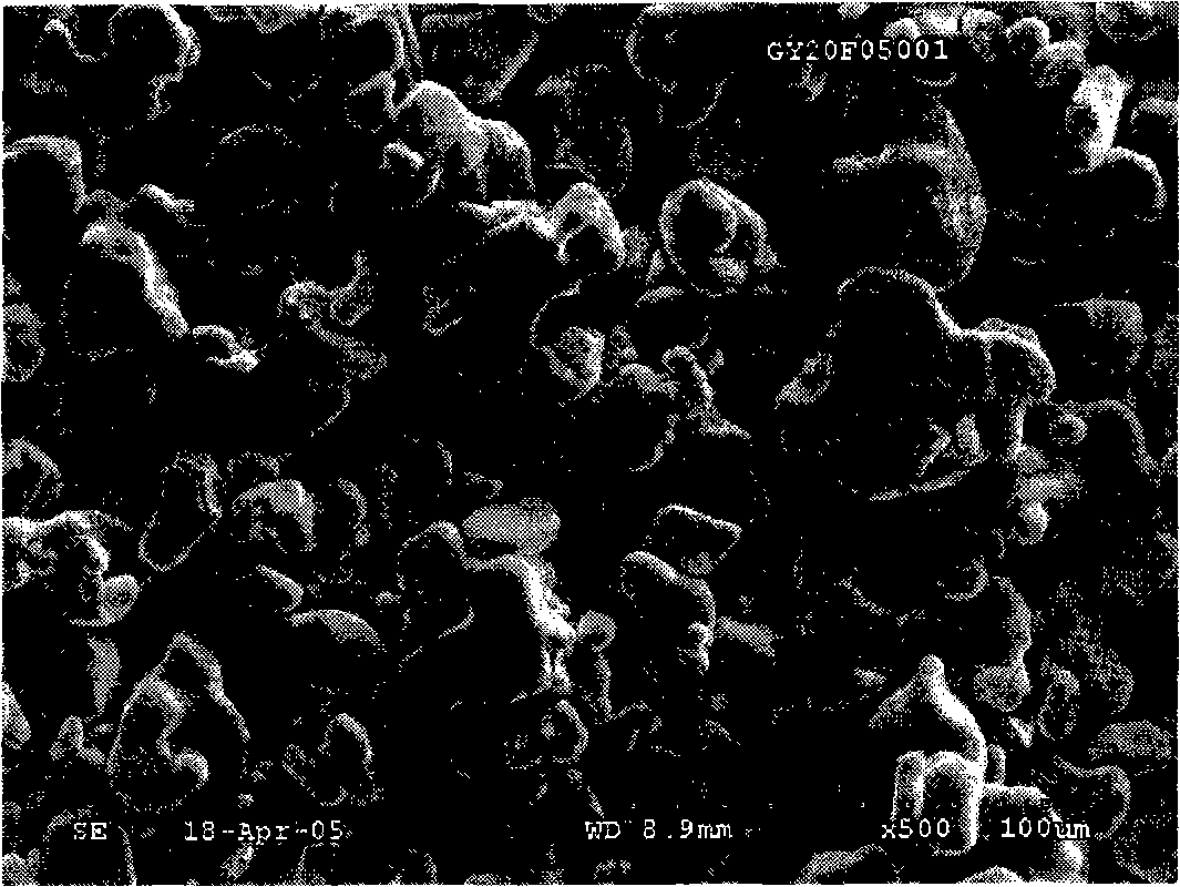 Super-size and high-density lithium cobalt oxide and method for preparing the same