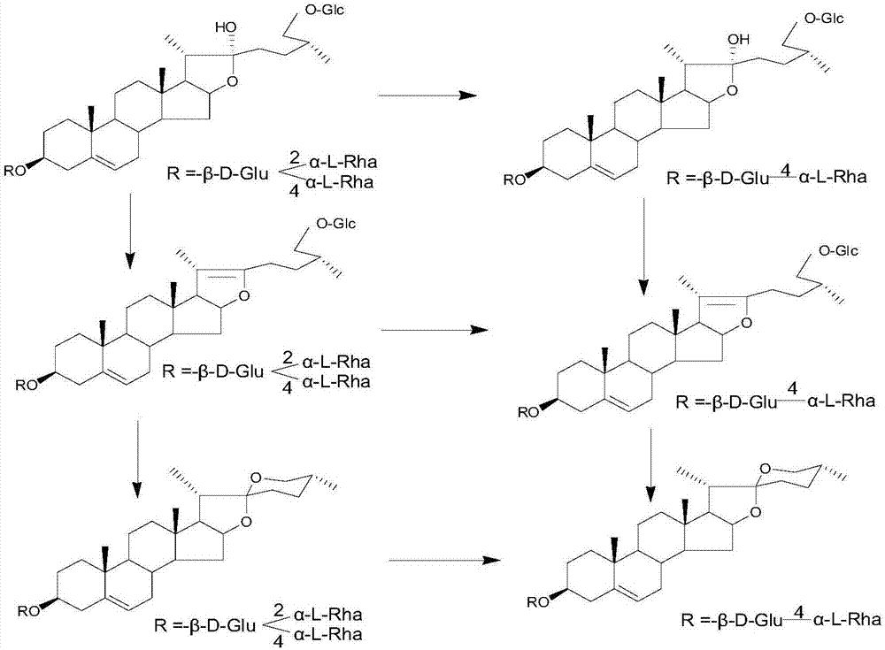 Steroidal saponin derivatives, and preparation method and application thereof