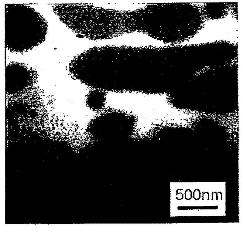 Polymer alloy, process for producing same and molded article