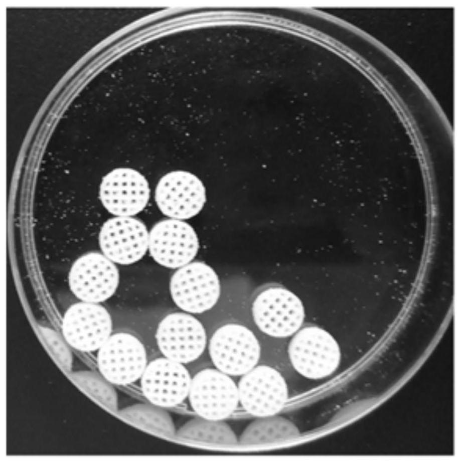 A kind of artificial bone for repairing tumor bone defect and preparation method thereof