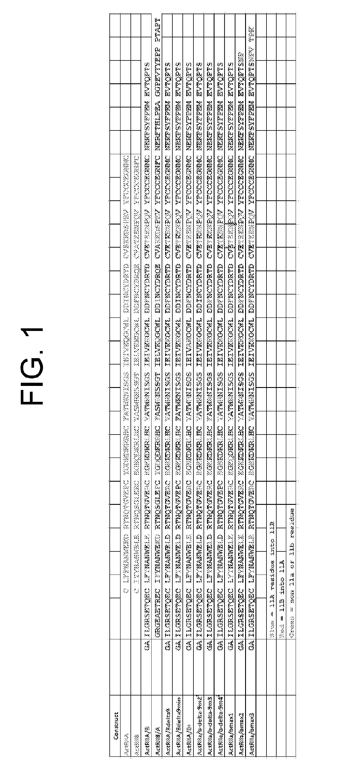 Activin receptor type iia variants and methods of use thereof