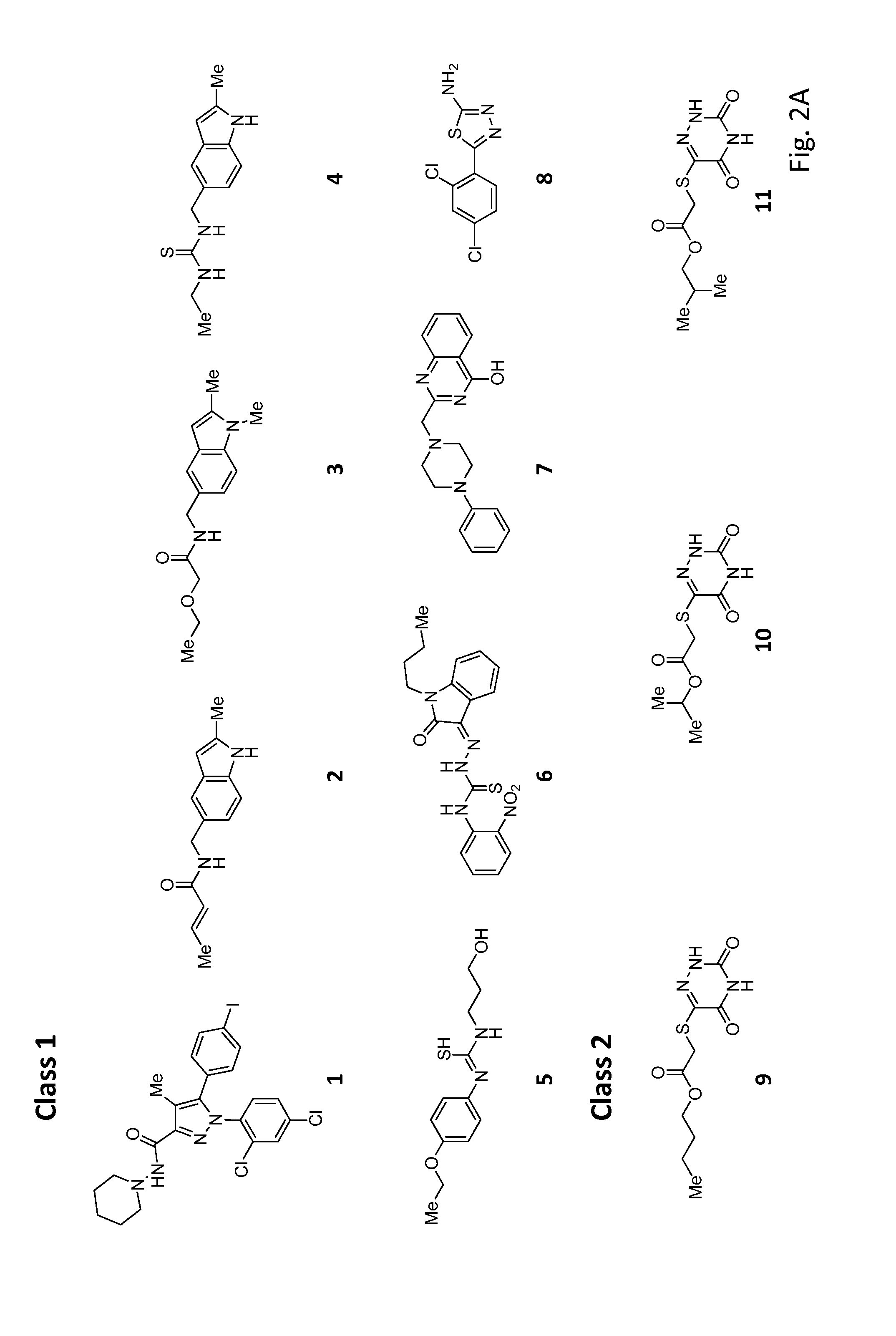 Broad spectrum pro-quorum-sensing molecules as inhibitors of virulence in vibrios