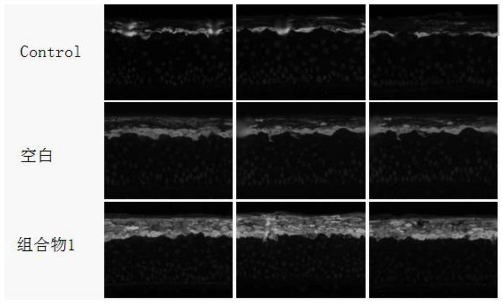 External natural anti-inflammatory composition and its preparation method and application