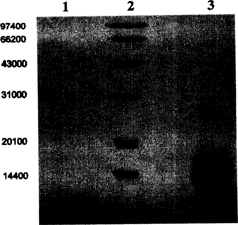 Mono methoxy polyethylene glycol-insulin complex substance and its preparation method