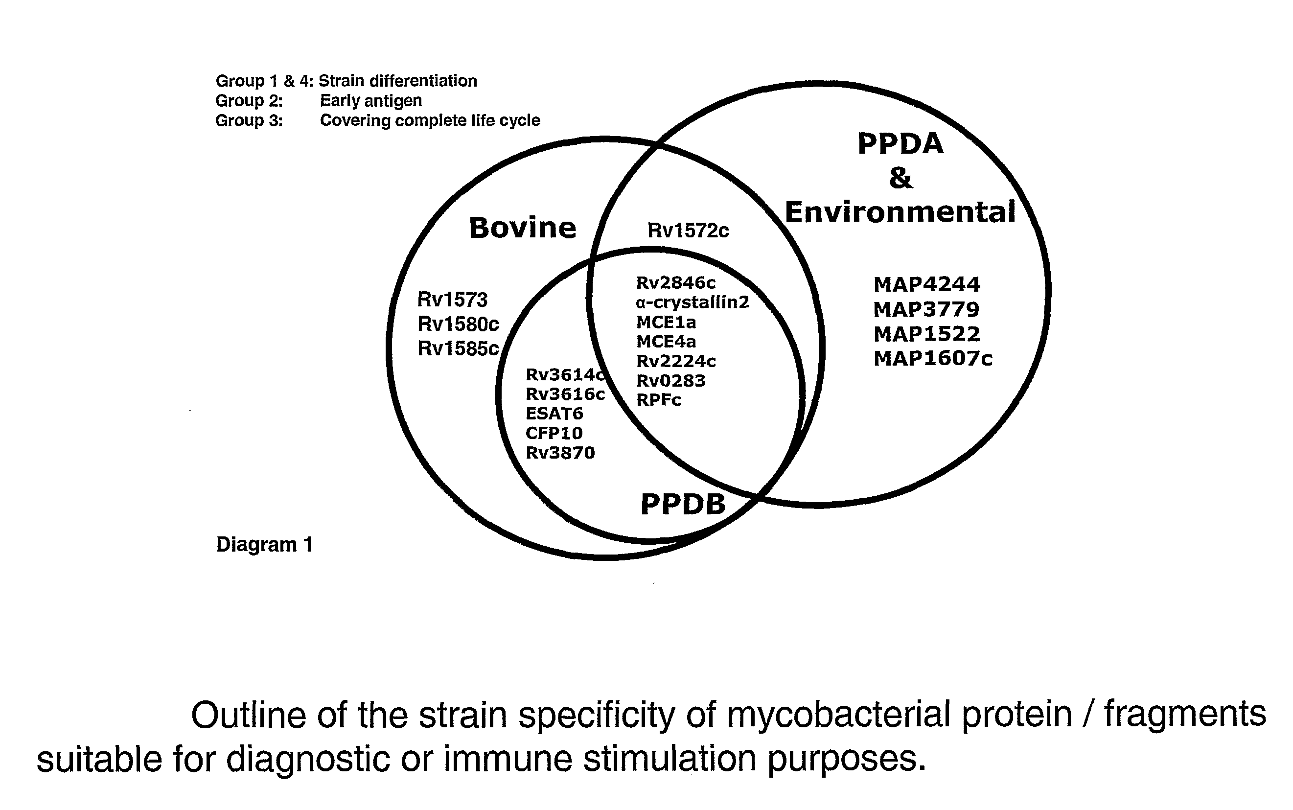 Assays for diagnosis of tuberculosis and uses thereof