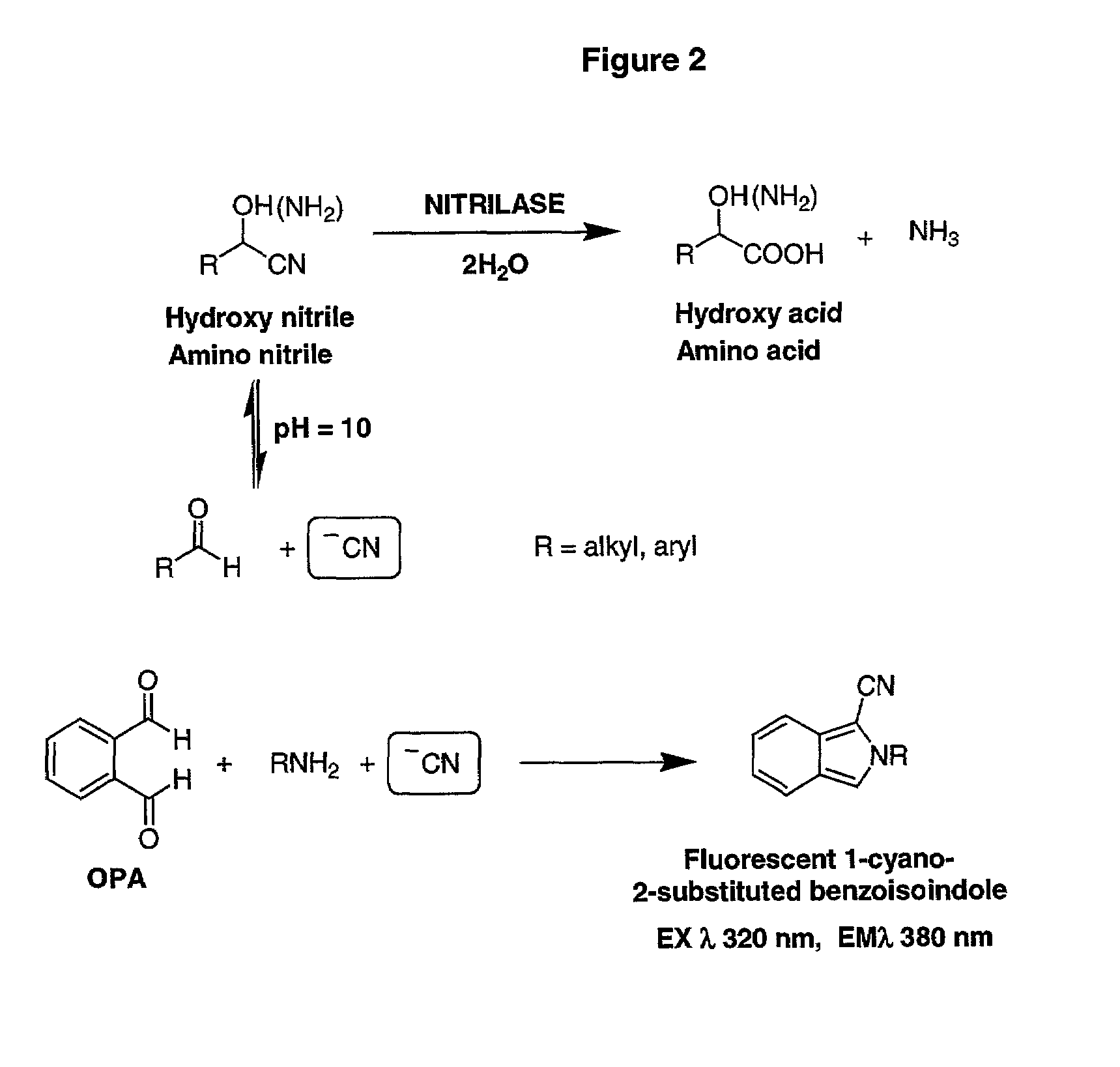 Nitrilases and methods for making and using them