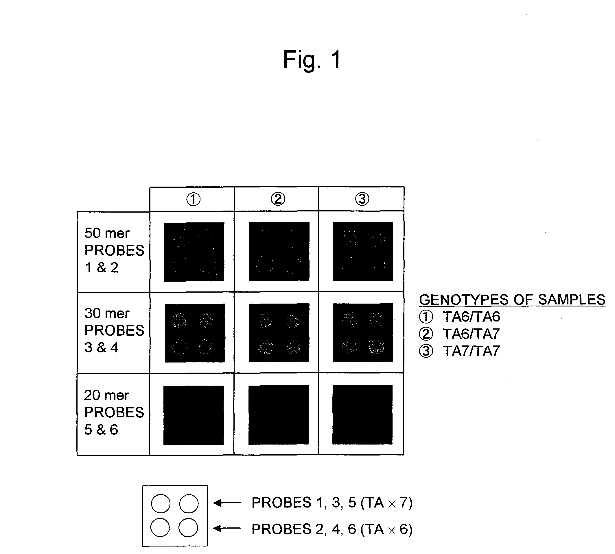 Method for determining risk of adverse effect of irinotecan and kit for it