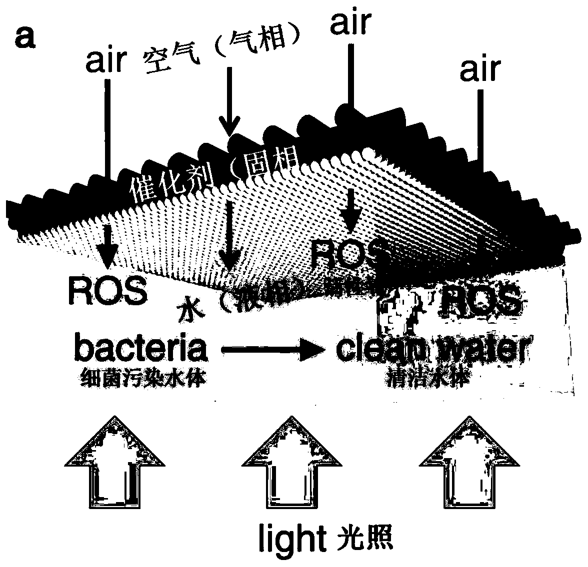 Photocatalytic gas-solid-liquid three-phase interface with adjustable wettability and preparation method and application thereof