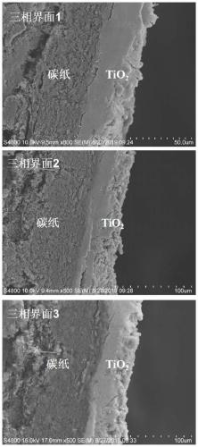 Photocatalytic gas-solid-liquid three-phase interface with adjustable wettability and preparation method and application thereof