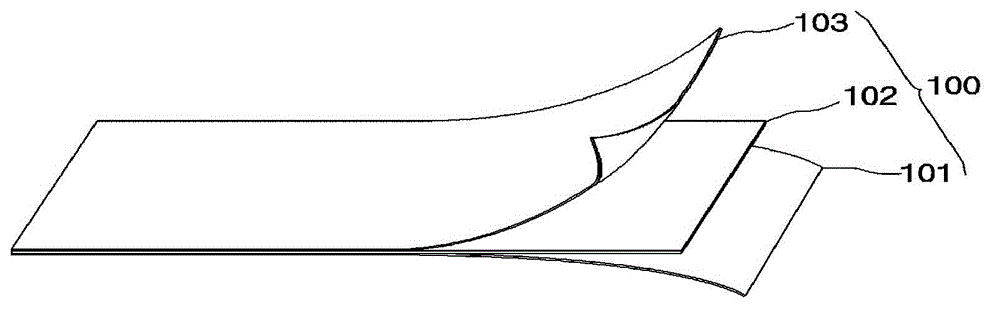 Cavity wall structure and cavity wall plate of liquefied natural gas cargo tank