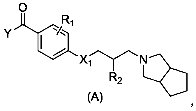 Morpholine benzamide compound and application thereof