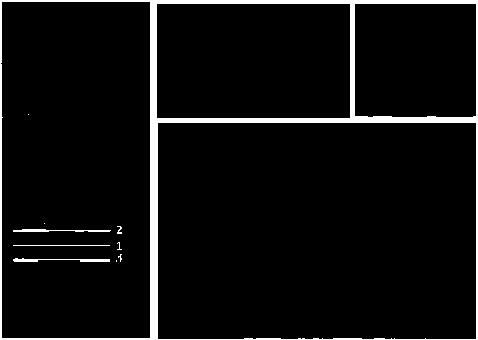 Method for obtaining hedychium coronarium tetraploid plants by slice culture technology