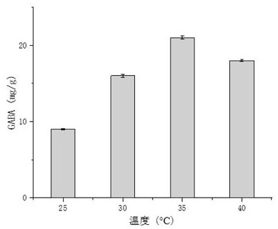 Preparation method of fermented rice flour rich in gamma-aminobutyric acid