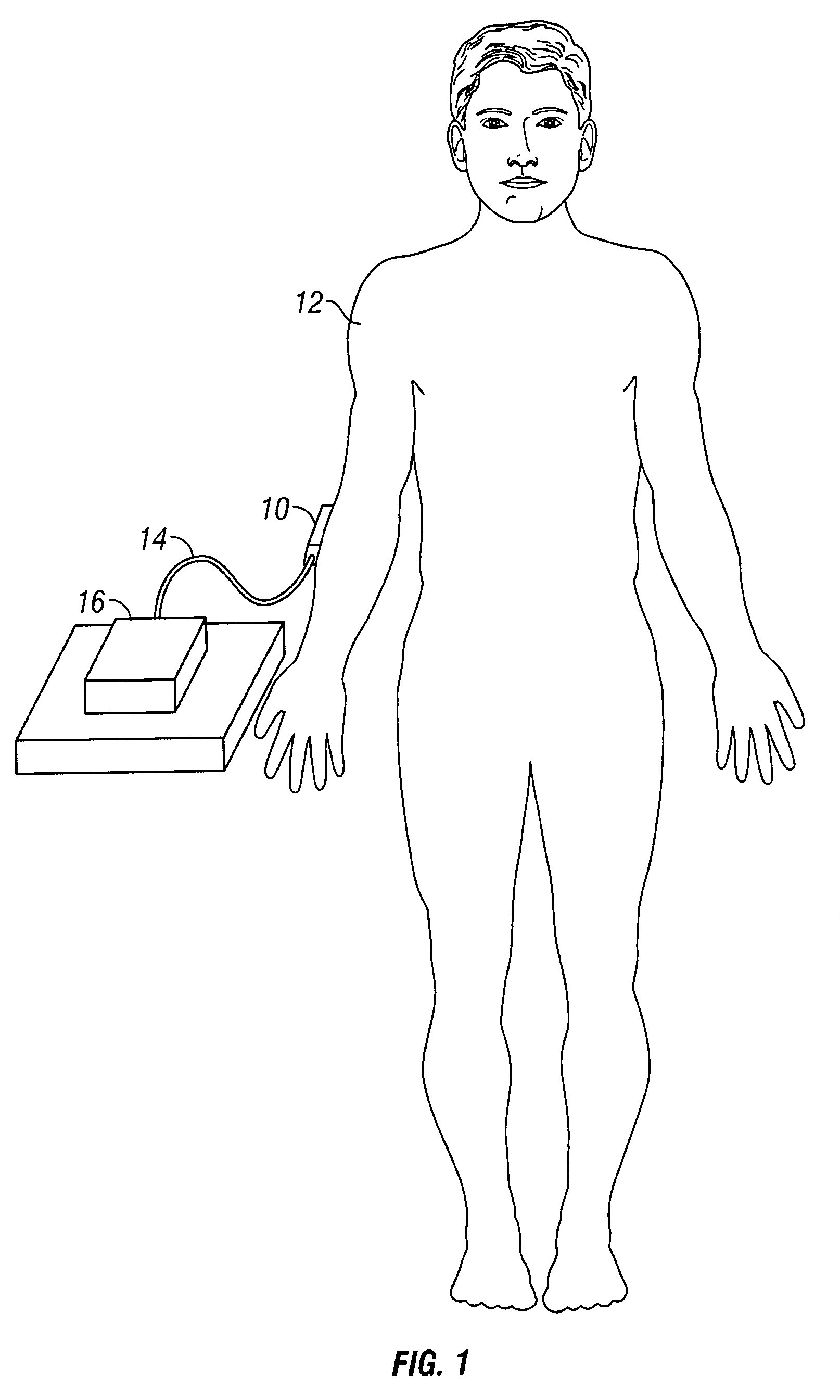 Compact apparatus for noninvasive measurement of glucose through near-infrared spectroscopy