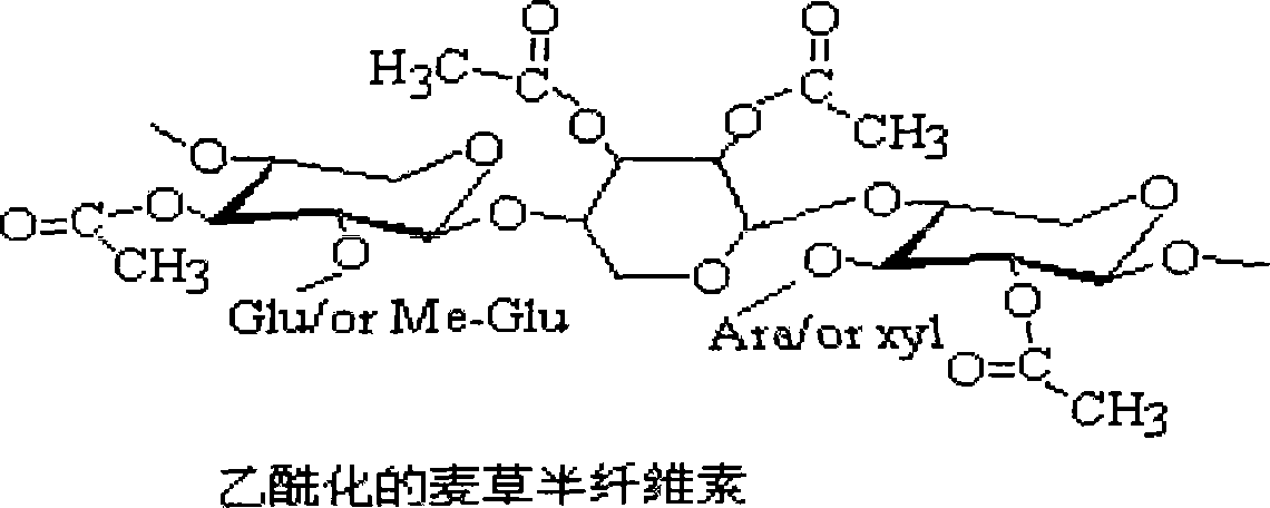 Method for preparing acetylated hemicellulose by employing catalysis of iodine