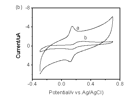 Novel use of porphyrin modified electrode