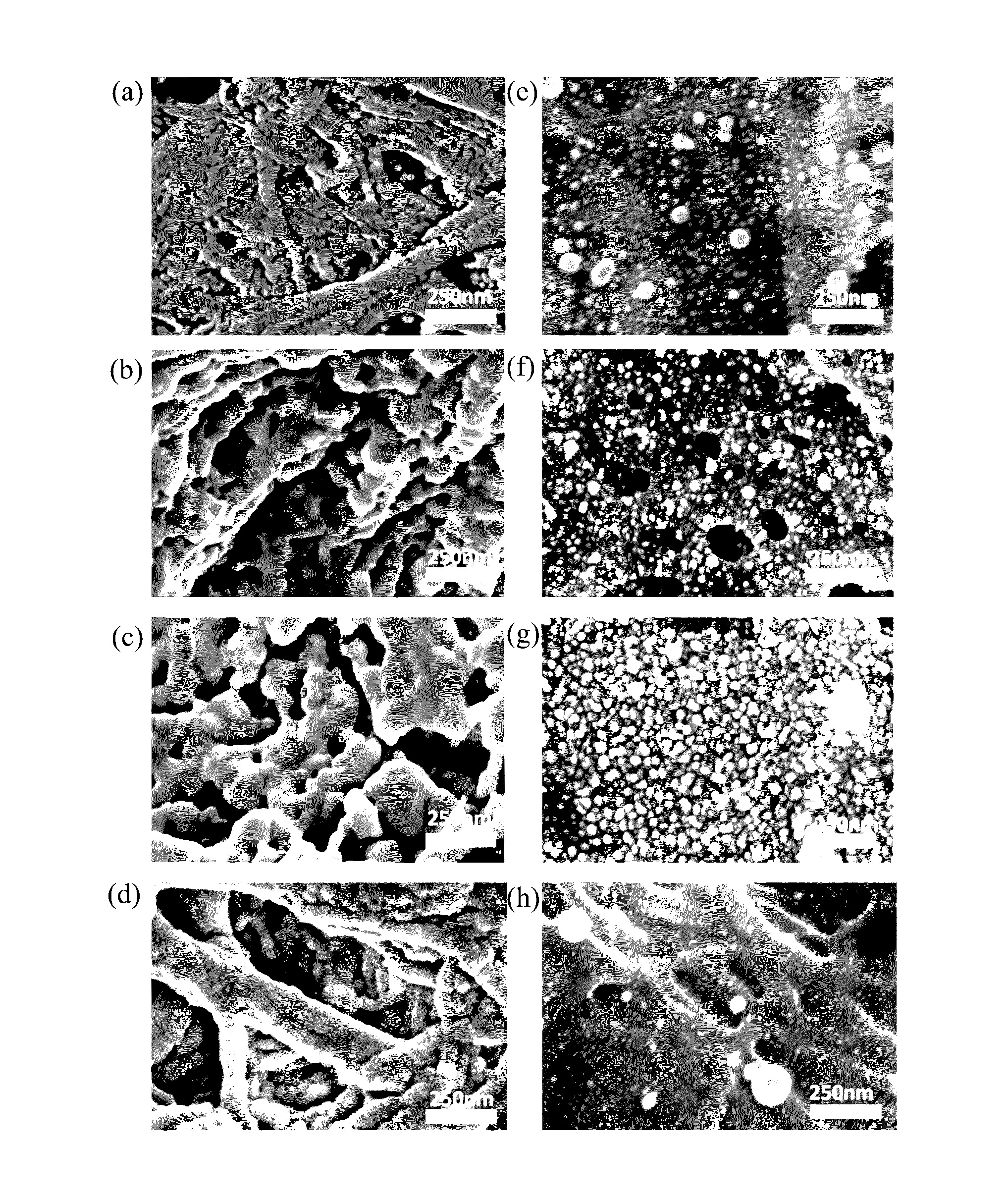 Surface-enhanced raman scattering substrate and manufacturing method thereof