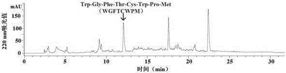 Application of shrimp meat offal Zn-chelated peptide