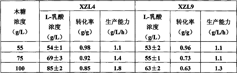 Bacillus coagulans used to preparing L-lactic acid and application method thereof