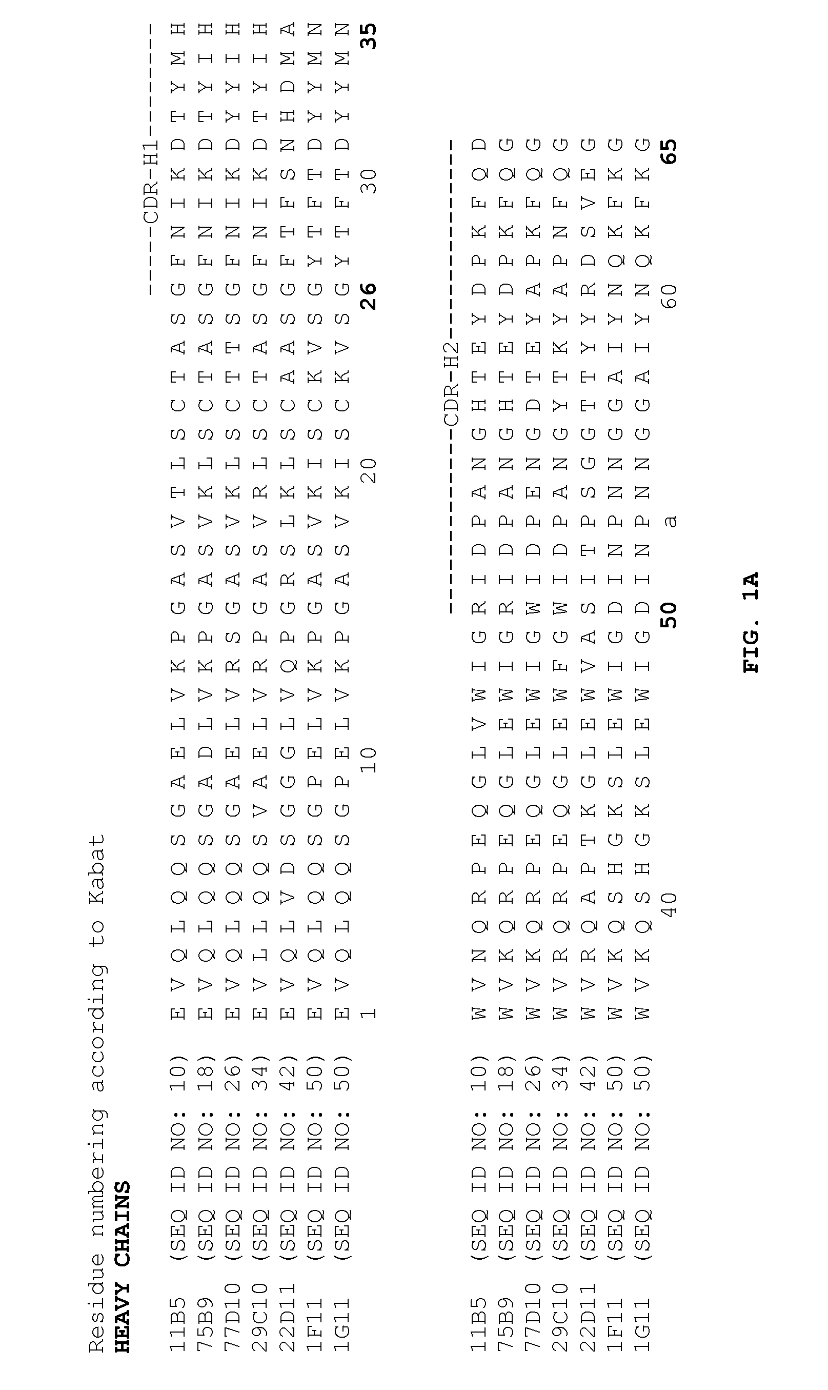 Anti-PCSK9 and methods for treating lipid and cholesterol disorders