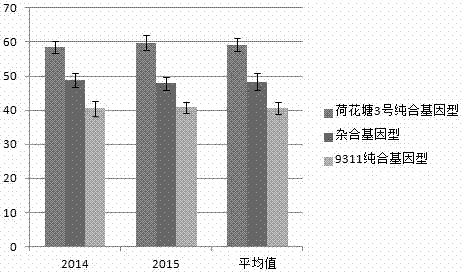 Molecular seed breeding method by using single-fragment substitution line for improving heat resistance during heading and flowering stage of paddy rice