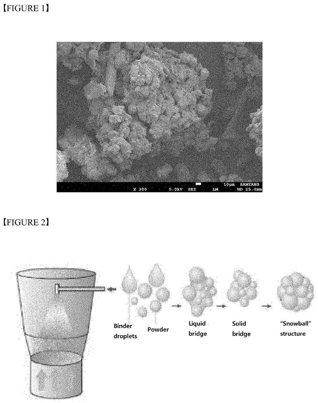 Powder type hemostatic composition and method for preparing the same