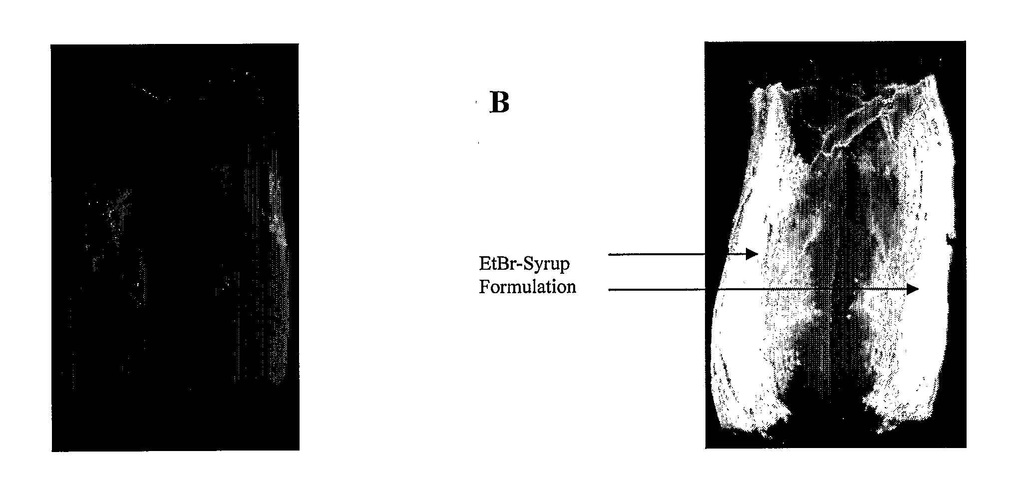 Adherent Antimicrobial Barrier and Sanitizing Agent